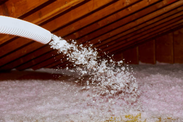 Best Spray Foam Insulation in Los Osos, CA