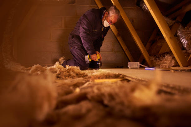 Types of Insulation We Offer in Los Osos, CA